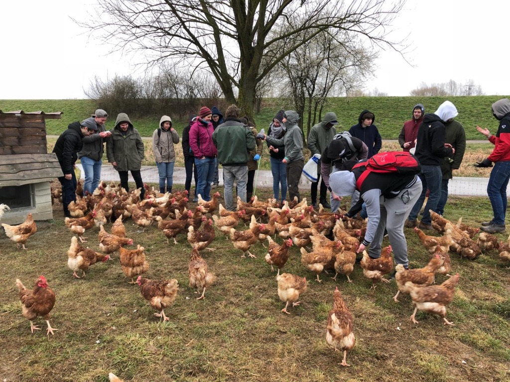 Hühnerstall mit Besuchenden auf dem Demeterhof Witt in Offenburg