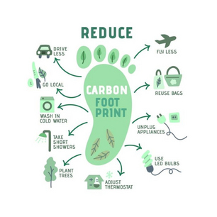 Grafik zeigt CO2-Fußabdruck und wodurch man ihn verbessern kann